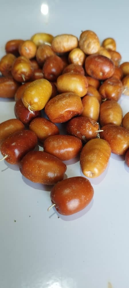 سنجد معمولی(کیلویی)