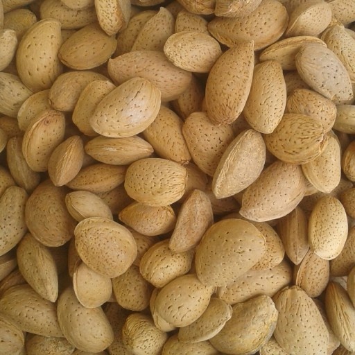 بادام سنگی مراغه مغز پر(کیلویی)