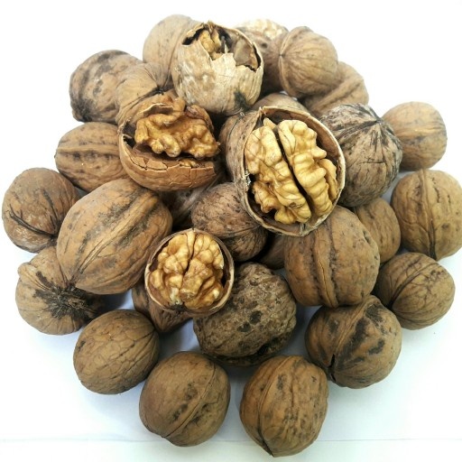 گردوی مراغه معمولی(کیلویی)
