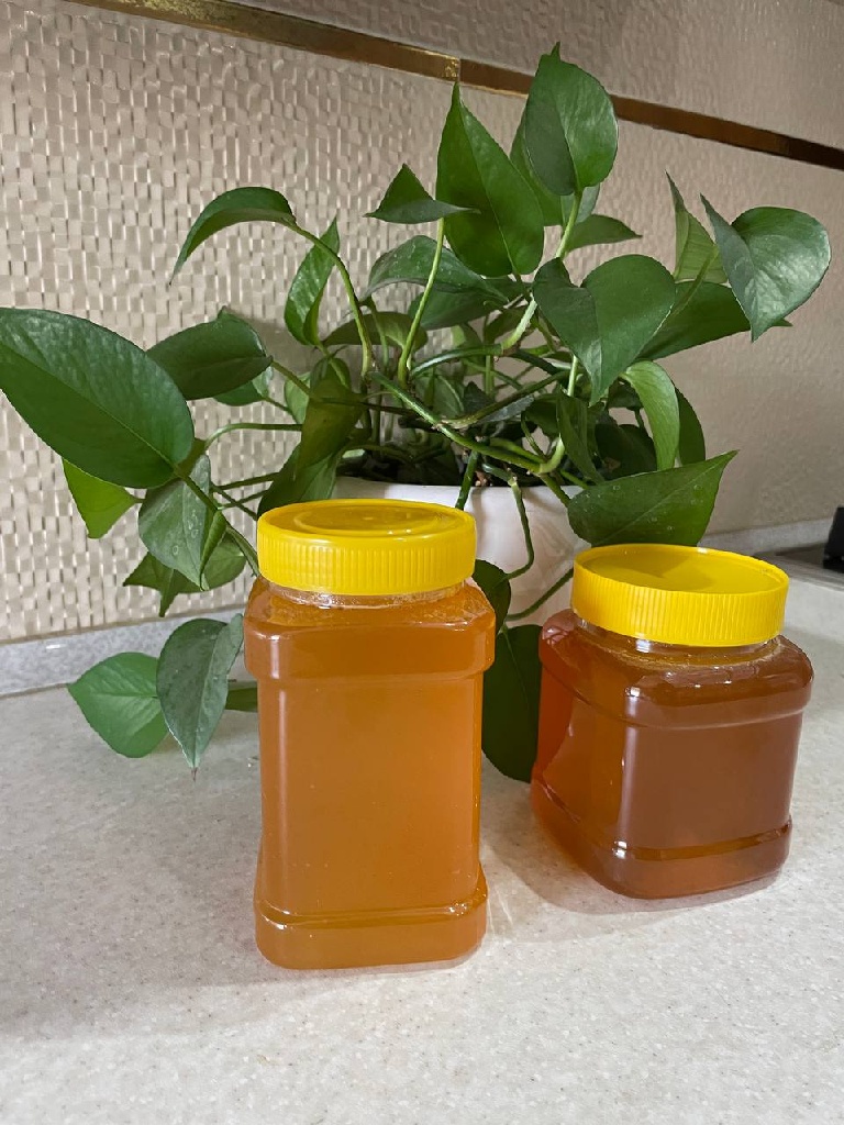 عسل طبیعی کوهستان با ساکارز 1.4(کیلویی)